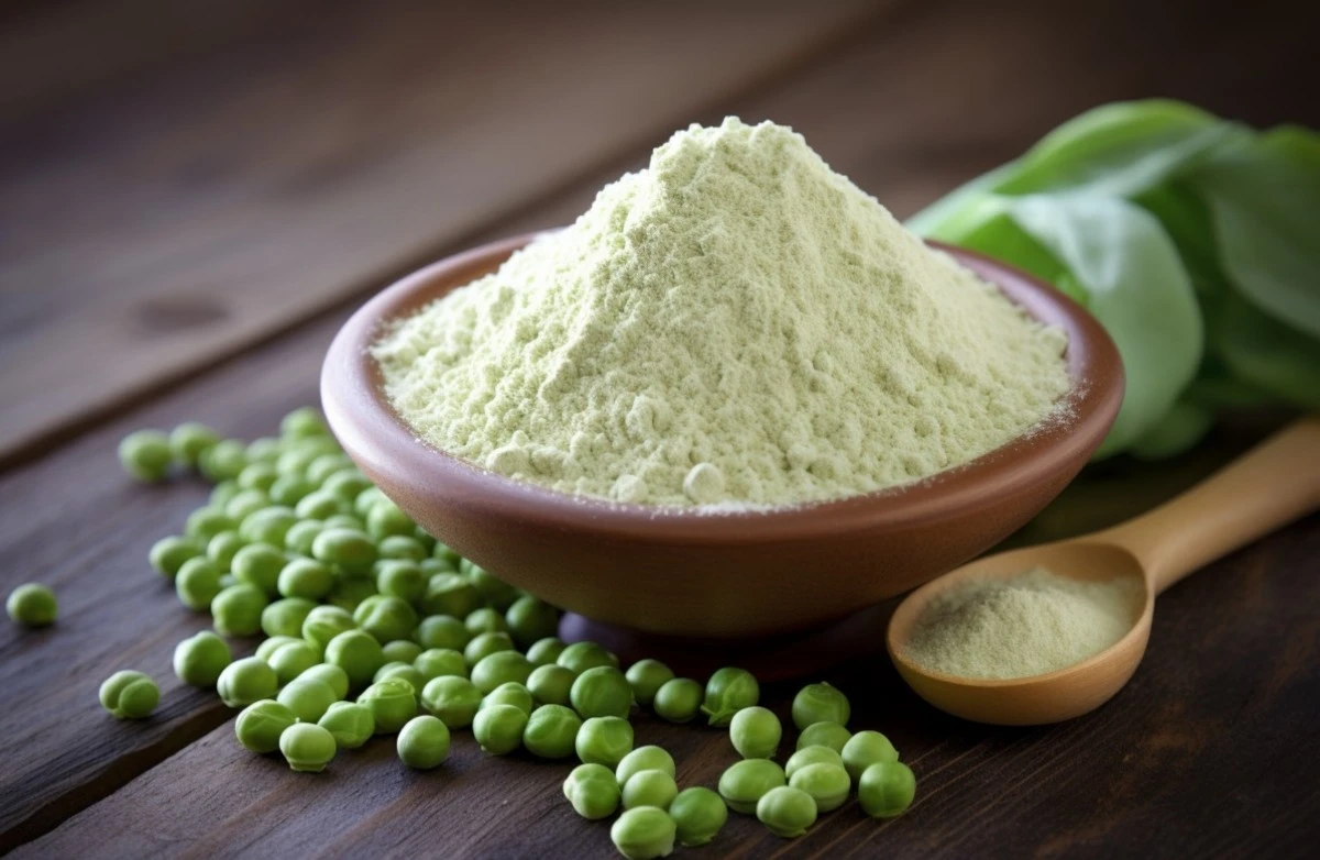 pure pea protein powder pure pea protein powder